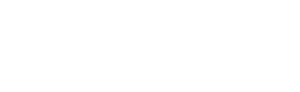 Logo 17