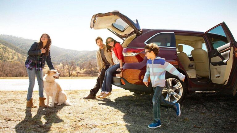 rentalgo self drive car rental delhi 4 768x432