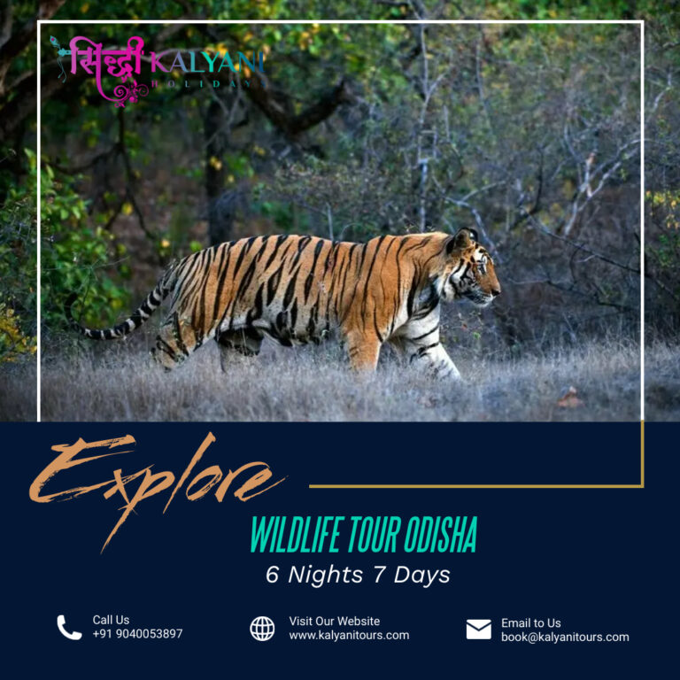 Wildlife Tour Odisha 1 768x768