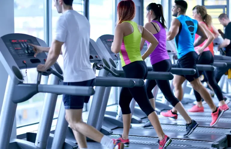 wolf fitness gym sector 49 noida1 768x497